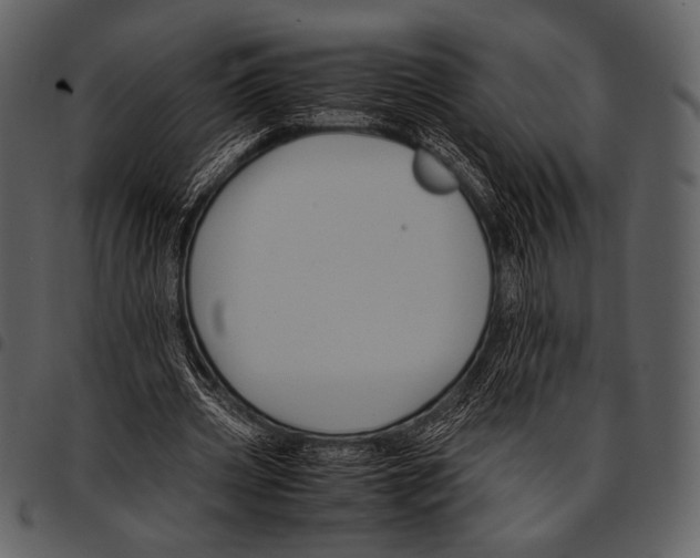 X0000097500533200803201554