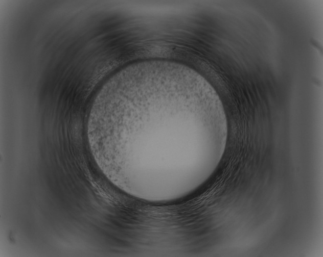 X0000097500534200803201554