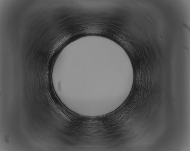 X0000097500535200803201554