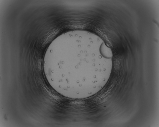 X0000097500537200803201554