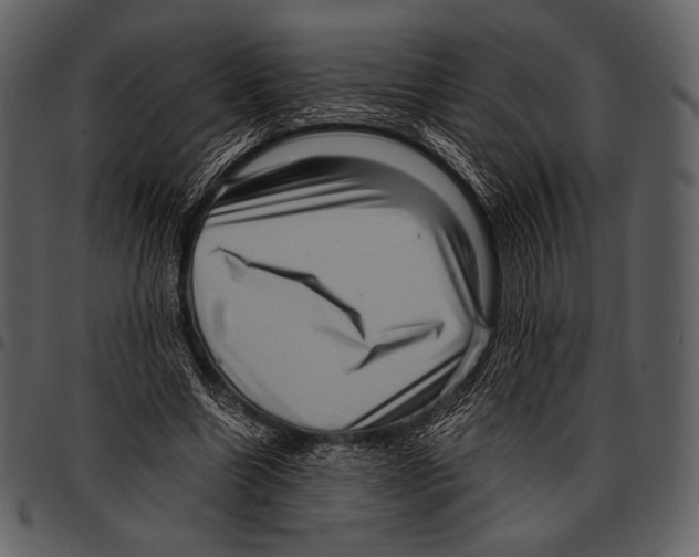 X0000097500538200803201554