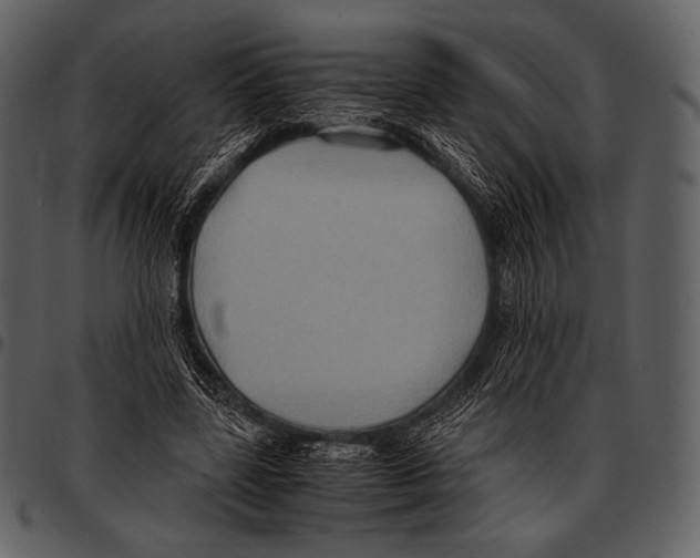 X0000097500539200803201554