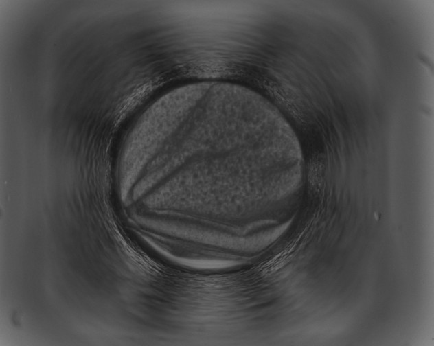 X0000097500540200803201554