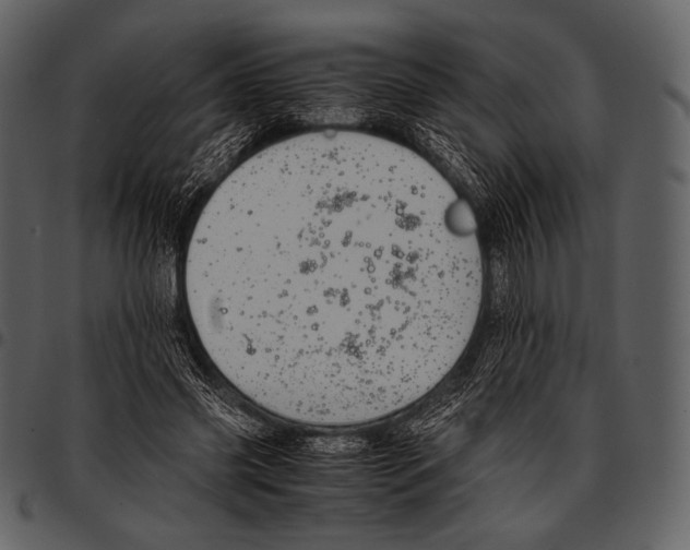 X0000097500541200803201554
