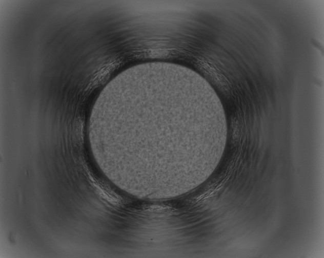 X0000097500542200803201554