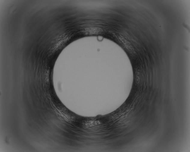 X0000097500543200803201554