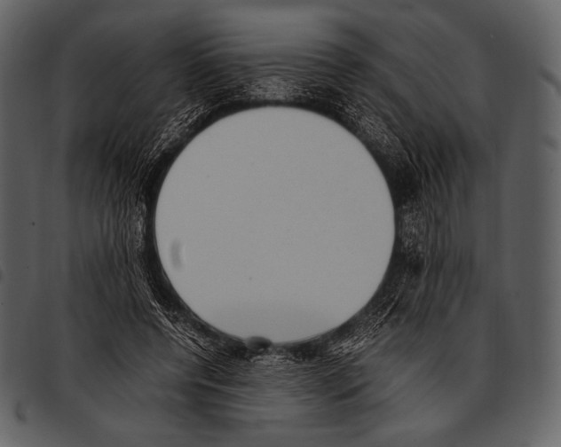 X0000097500544200803201554