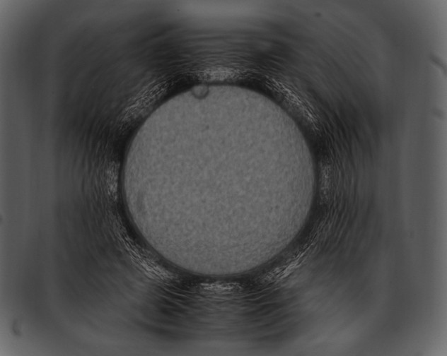 X0000097500545200803201554