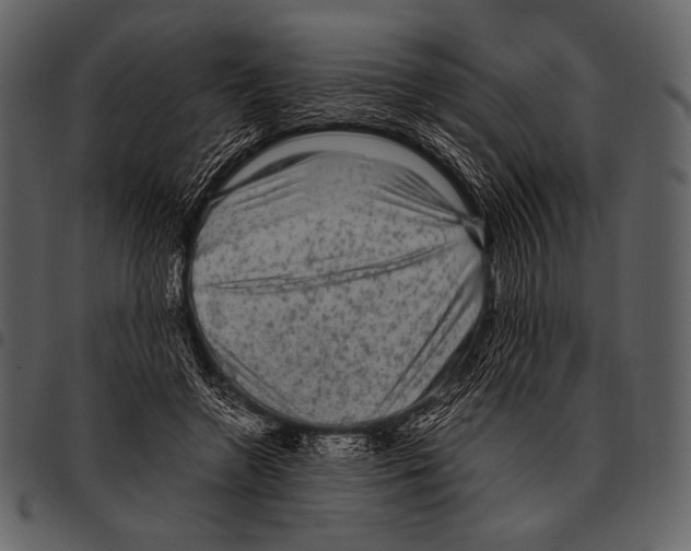 X0000097500546200803201554