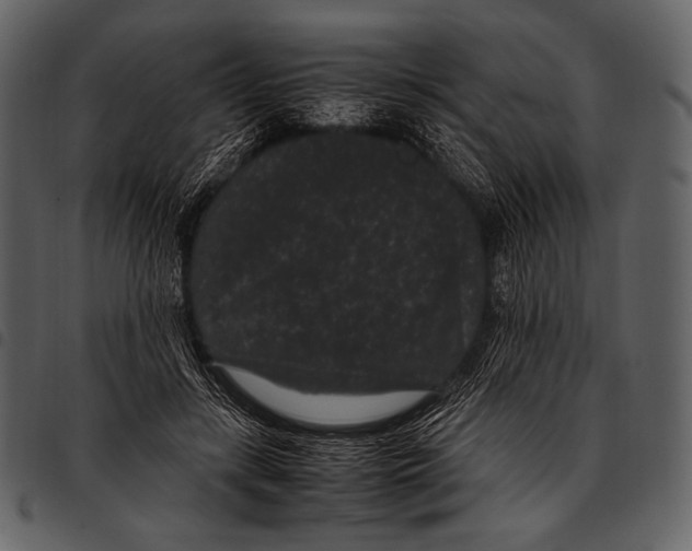 X0000097500547200803201555