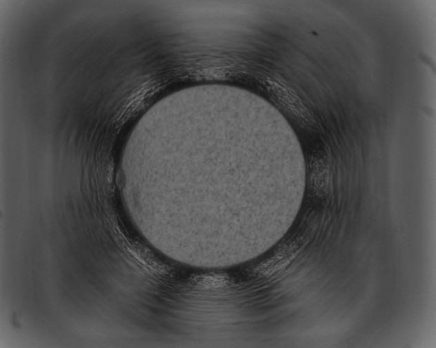 X0000097500548200803201555