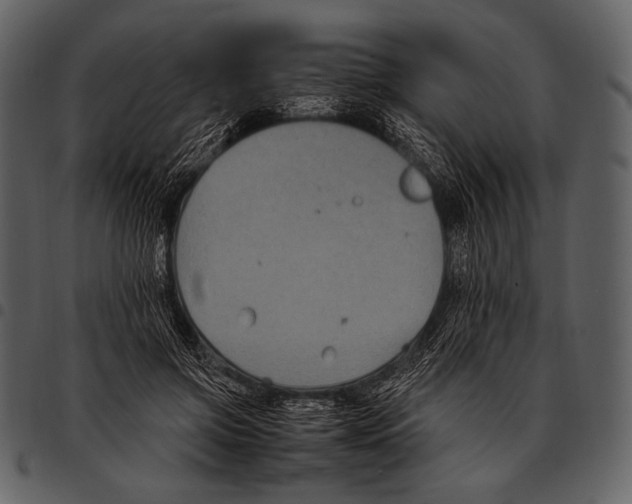 X0000097500549200803201555