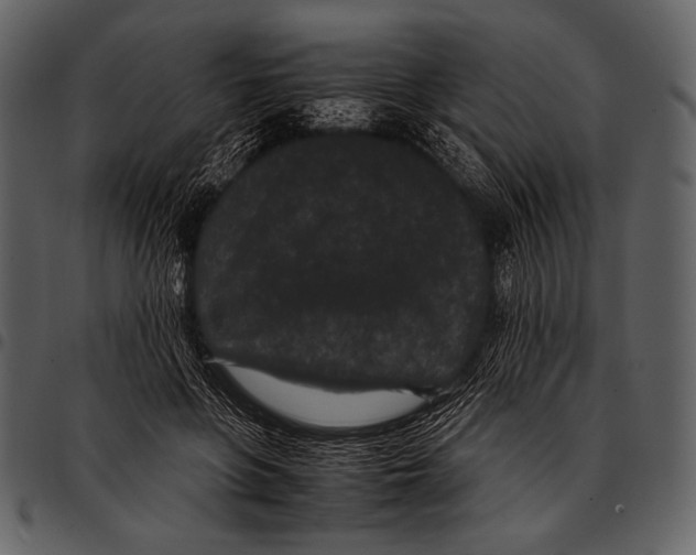 X0000097500551200803201555