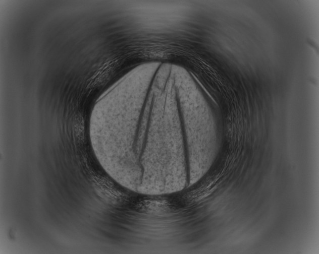X0000097500552200803201555