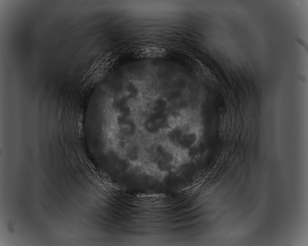 X0000097500553200803201555