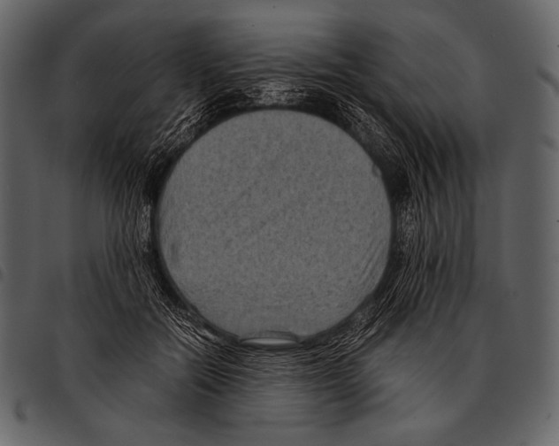 X0000097500554200803201555