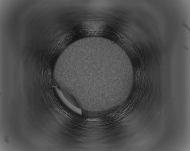 X0000097500557200803201555
