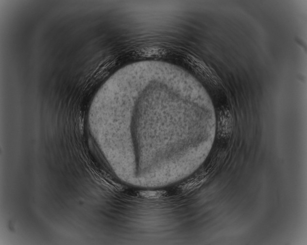 X0000097500558200803201555