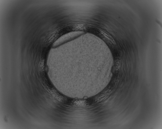 X0000097500560200803201555