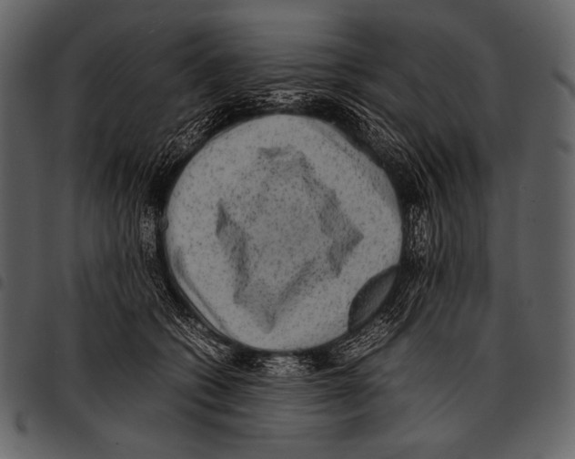 X0000097500562200803201555