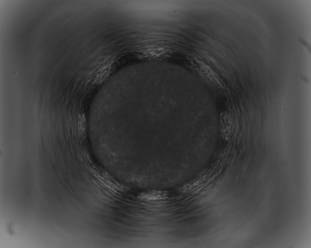 X0000097500563200803201555
