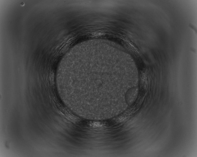 X0000097500565200803201555