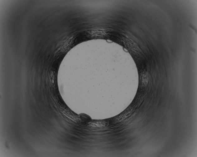 X0000097500567200803201555