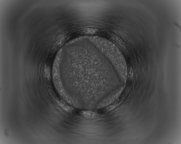 X0000097500568200803201555