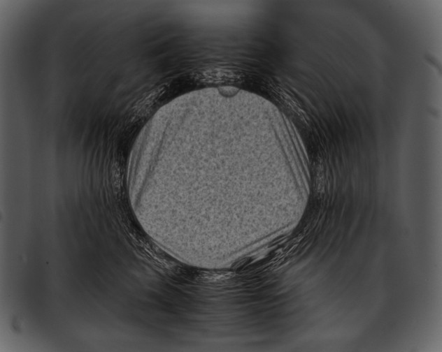 X0000097500569200803201555