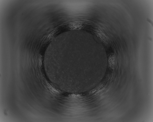 X0000097500570200803201555