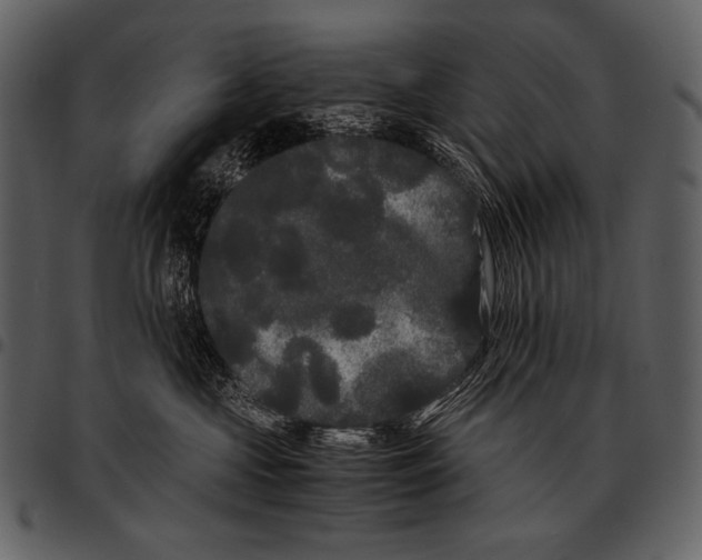 X0000097500573200803201555