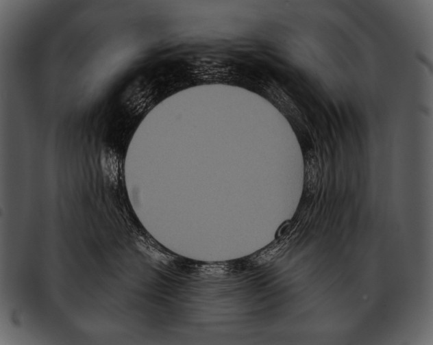 X0000097500574200803201555