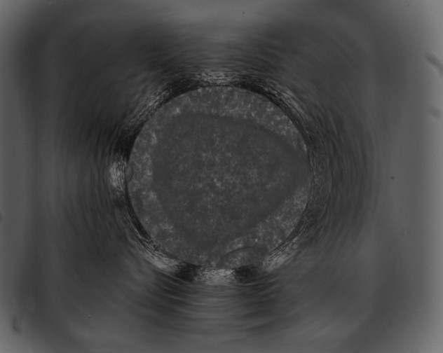 X0000097500576200803201555