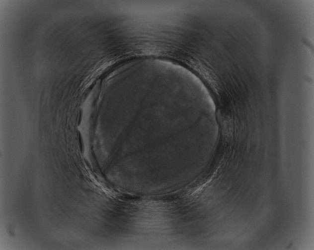 X0000097500577200803201554
