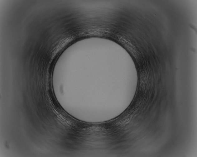 X0000097500578200803201554