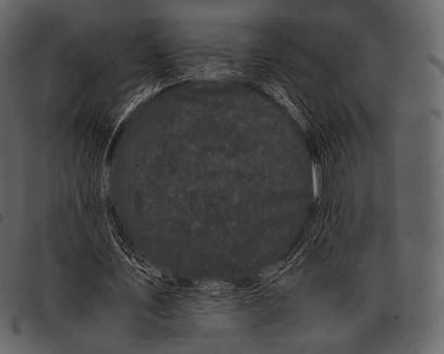 X0000097500579200803201554