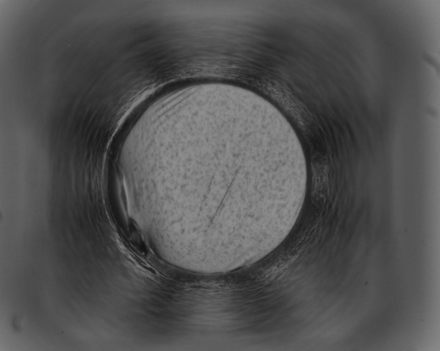 X0000097500580200803201554