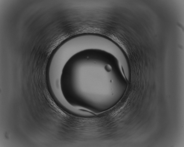 X0000097500581200803201554