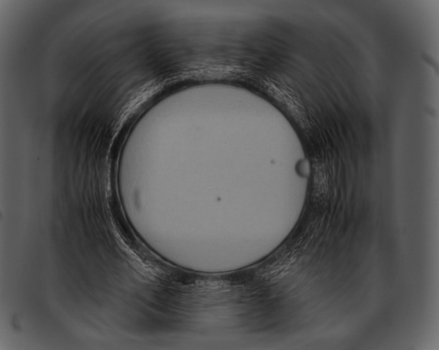 X0000097500582200803201554