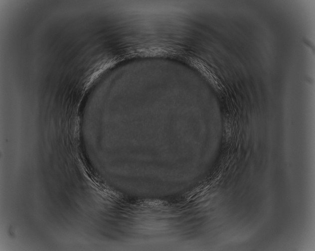 X0000097500583200803201554