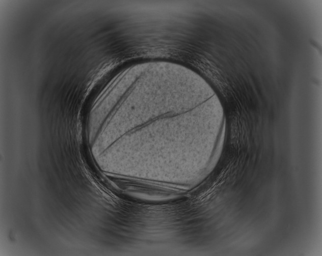 X0000097500584200803201554