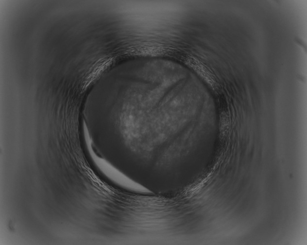 X0000097500585200803201554