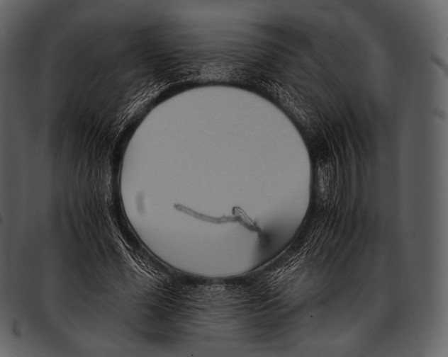 X0000097500588200803201554