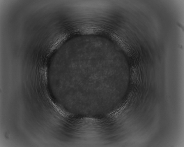 X0000097500590200803201554
