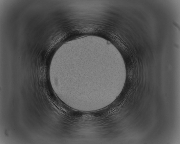 X0000097500591200803201554