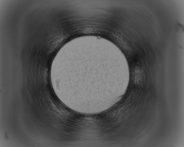 X0000097500592200803201554