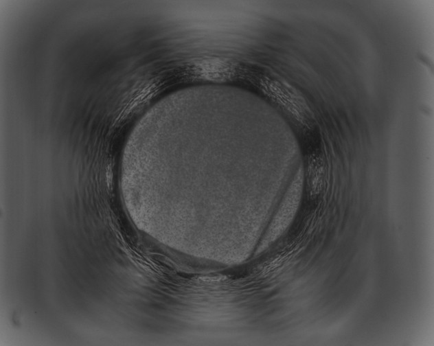 X0000097500595200803201554