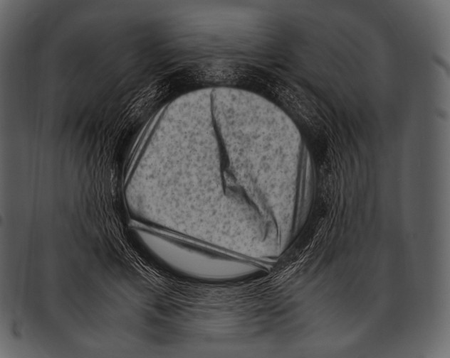 X0000097500597200803201554
