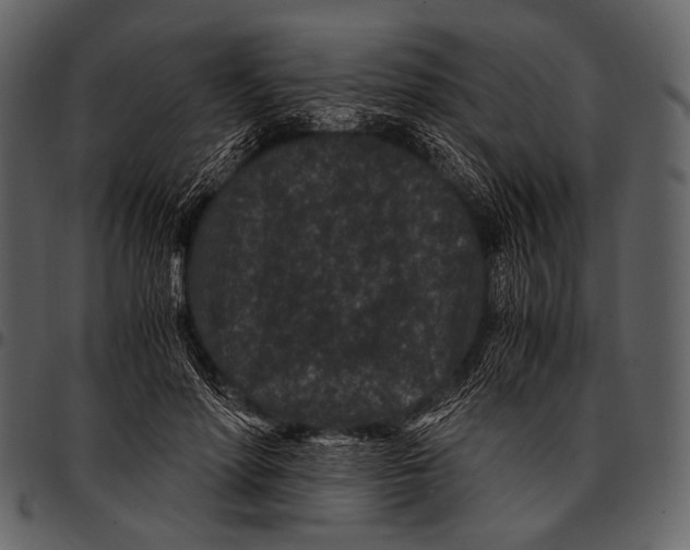 X0000097500598200803201554