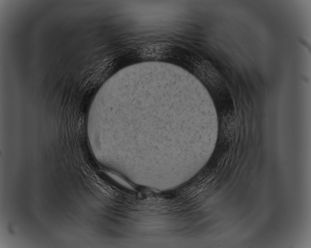 X0000097500601200803201554